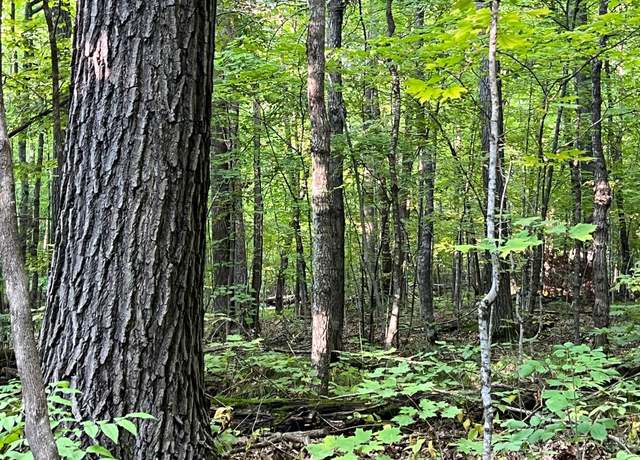 Property at 45XXX 289th Ln, Aitkin, MN 56431