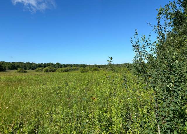 Property at XXX 470th St, Palisade, MN 56469