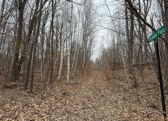 Property at Lots 51-53 Grouse Pass, Randall, MN 56475