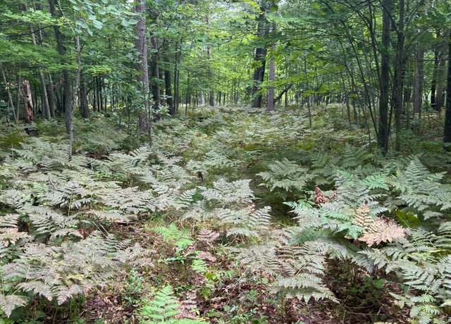 Property at Lot 43 Deerpath Trail Way, Danbury, WI 54830