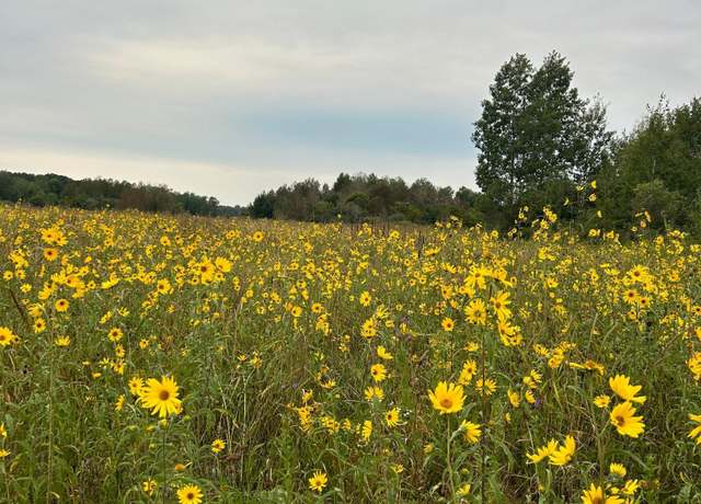 Property at XXX County Road 66, Staples, MN 56479