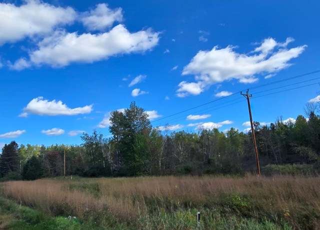 Property at xxx State Hwy 35, Dairyland, WI 54830
