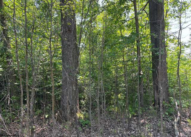 Property at TBD 370th Ln, Mcgregor, MN 55760