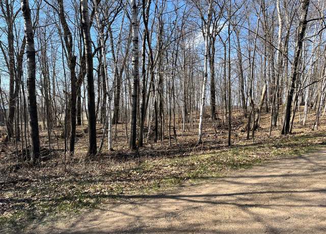 Property at Lot 1 Block 12, Roosevelt Twp, MN 56450