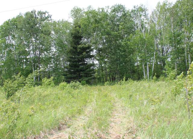 Property at Undisclosed address, Munch Twp, MN 55063