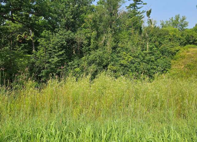 Property at XXX Eau Galle Dr, Elmwood, WI 54767