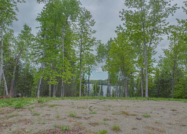 Property at 53550 Little Bear Trl, Bigfork, MN 56628