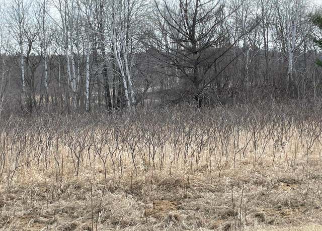 Property at xxxx Ottawa Dr, Browerville, MN 56438