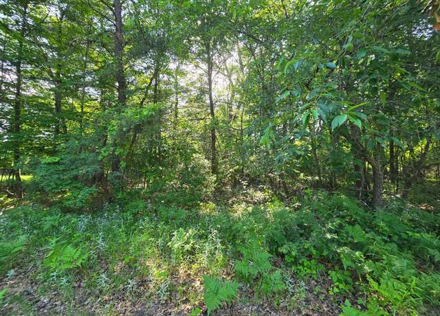 Property at Lot 2 & 3 N Nelson N, Grantsburg, WI 54840