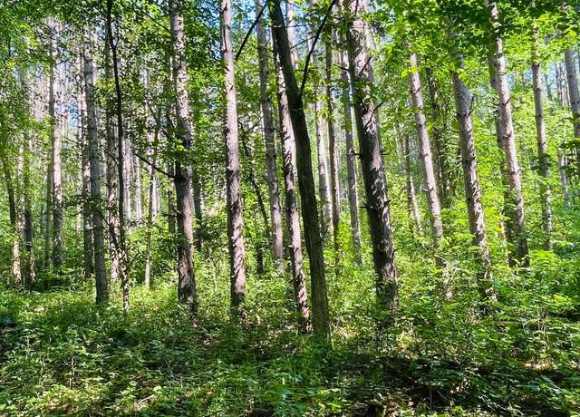 Property at xxx Brown Ln, Pepin, WI 54759