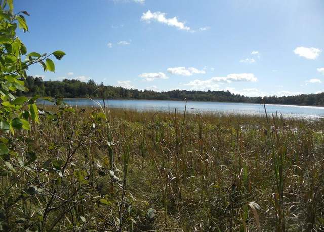 Property at TBD County 118 Rd NW, Backus, MN 56435