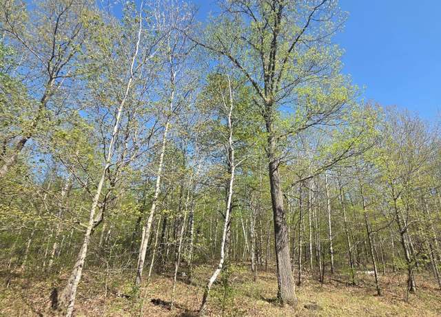 Property at TBD Skyline Dr, Helga Twp, MN 56601