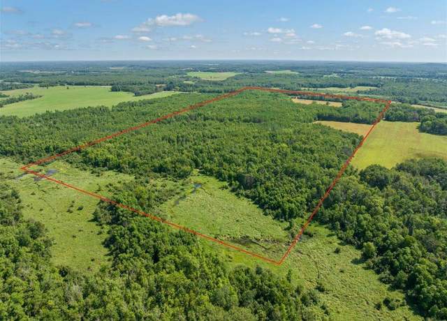 Property at 4233 56th Ave SW, Bungo Twp, MN 56474
