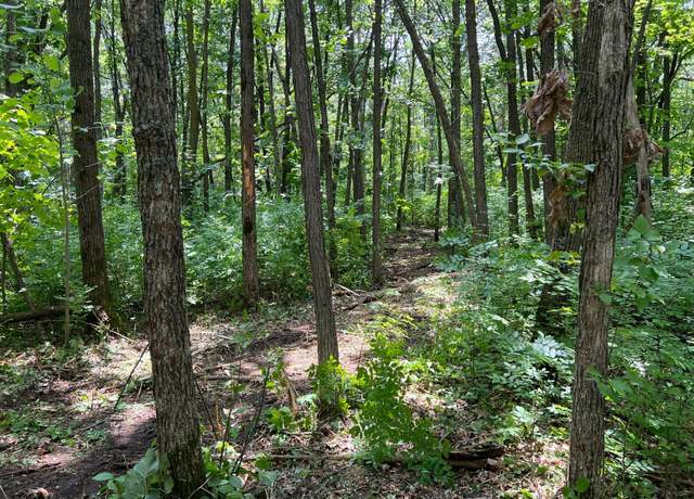 Property at 000 Cross Lake Rd, Chengwatana Twp, MN 55063