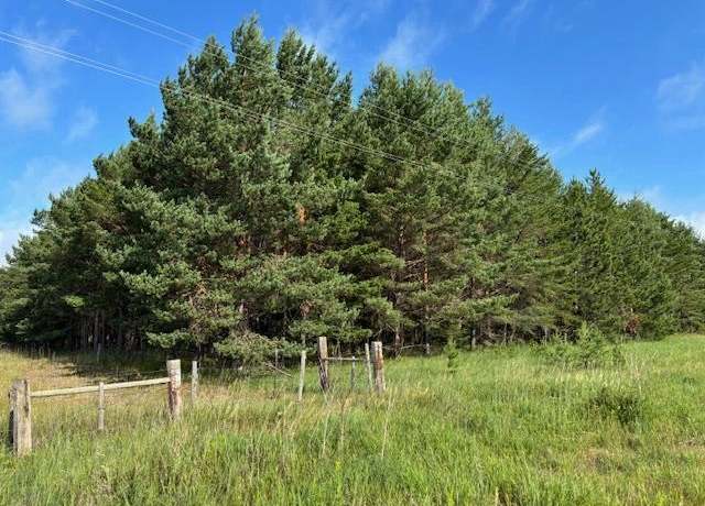 Property at TBD 380th St, Menahga, MN 56464