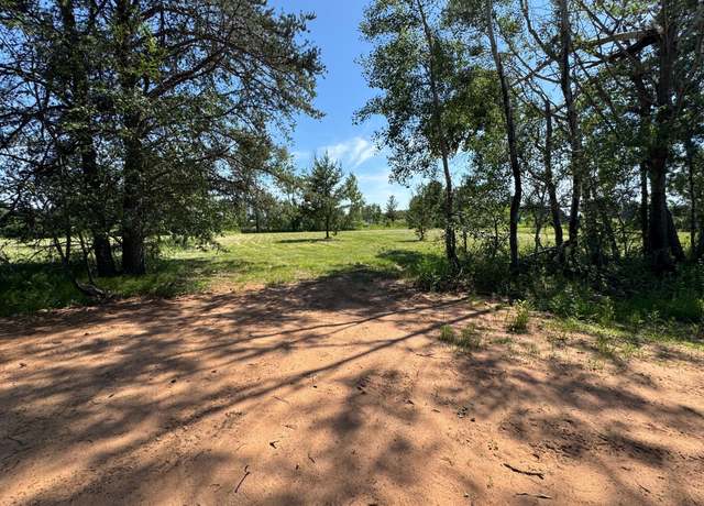 Property at TBD-Lot B Burns St, Bruno, MN 55712
