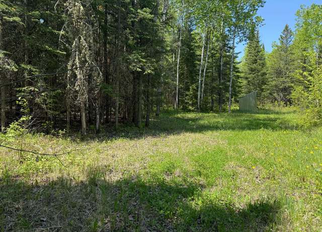 Property at TBD County Road 526, Nashwauk, MN 55769