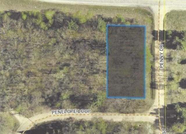 Property at TBD Penelope Loop, Browerville, MN 56438