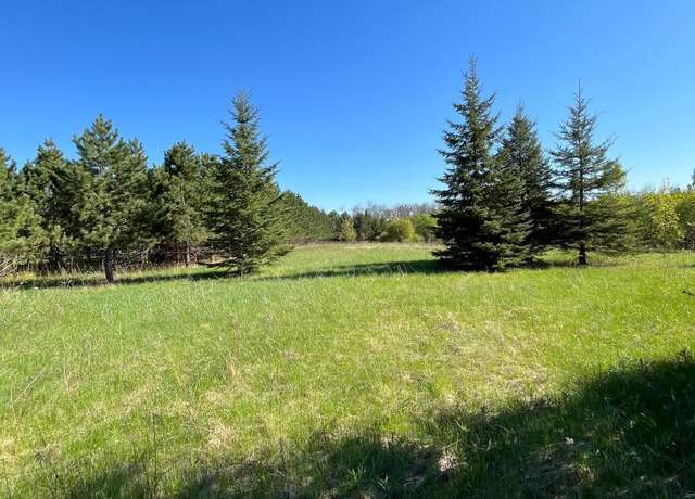 Property at Lot 2 - TBD 330th St, Warroad, MN 56763