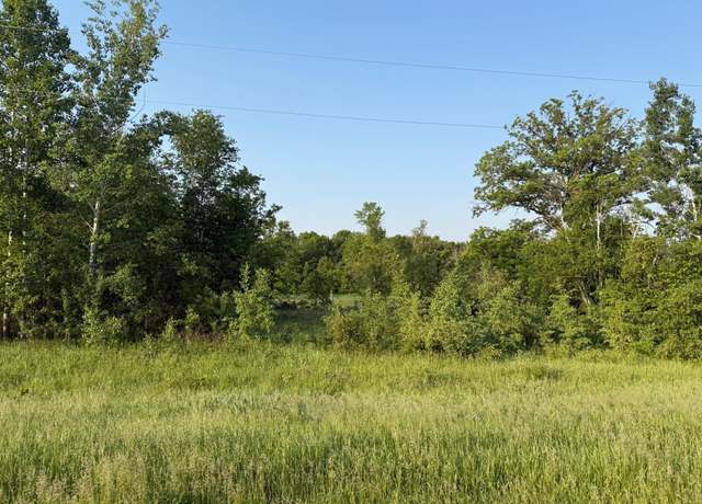 Property at TBD 6th St, Randall, MN 56475