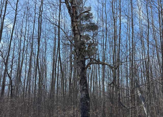 Property at TBD Lamon Rd NE, Turtle River Twp, MN 56601