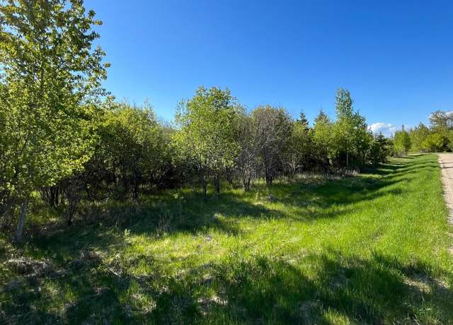 Property at Lot 4 - TBD 330th St, Warroad, MN 56763