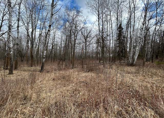 Property at TBD 48th Ave, Pine River, MN 56474