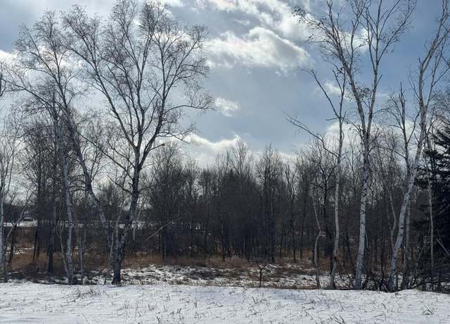 Property at 2458 179th Ave NE, Ham Lake, MN 55304