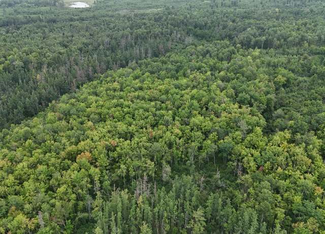 Property at TBD Engine Hill Rd, Dairyland Twp, WI 54830