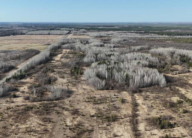 Property at TBD County Road 14, Littlefork, MN 56653