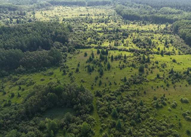 Property at TBD County Road 14, Littlefork, MN 56653