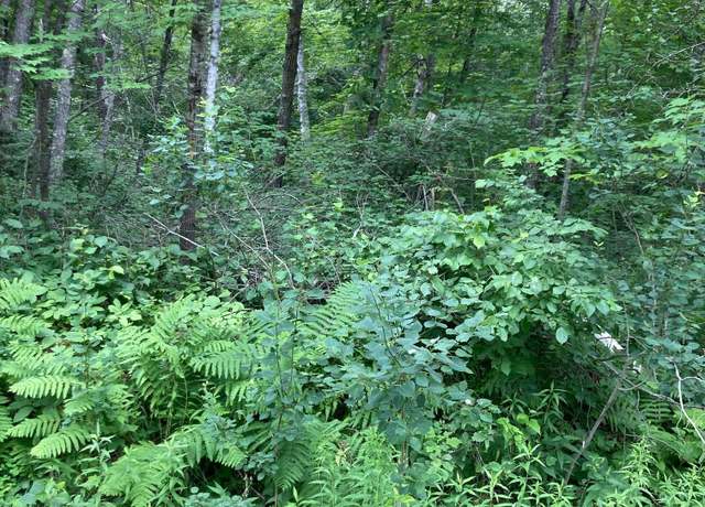 Property at Lot 3 Summer Dr, Breezy Point, MN 56472