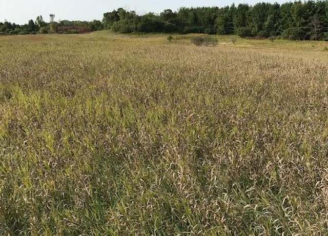 Property at xxxx Island Estates (site12) Dr NW, Pine Island, MN 55963