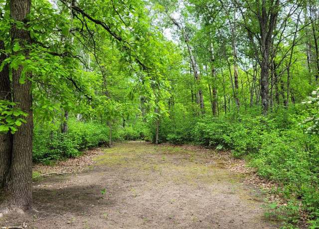Property at TBD* State Highway 84 SW, Pine River, MN 56474