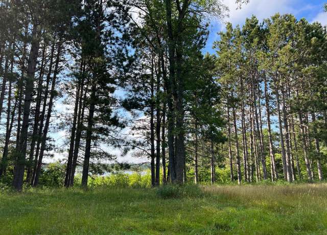 Property at Tract 1 Lake Breeze Ln NE, Longville, MN 56655
