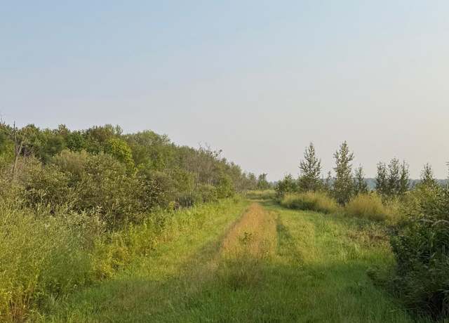 Property at TBD160 Sunflower Rd, Kelliher, MN 56650
