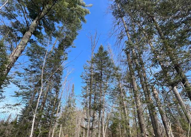 Property at xxx Yellowsands Dr, Spooner, WI 54801