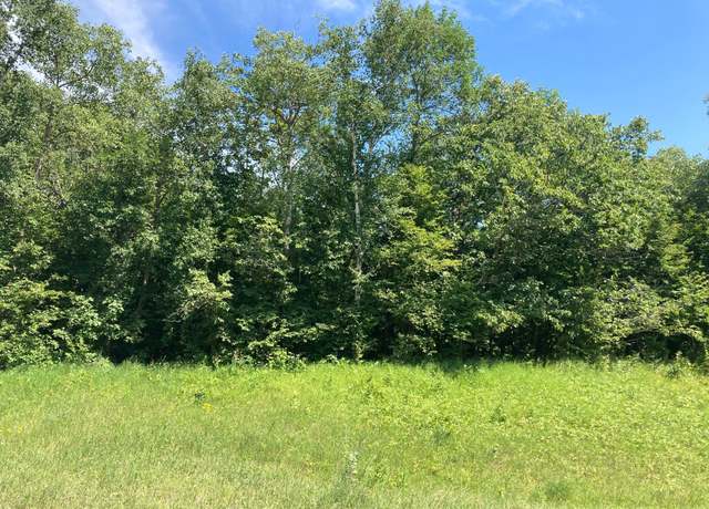 Property at 000 280th St S, Parke Twp, MN 56549
