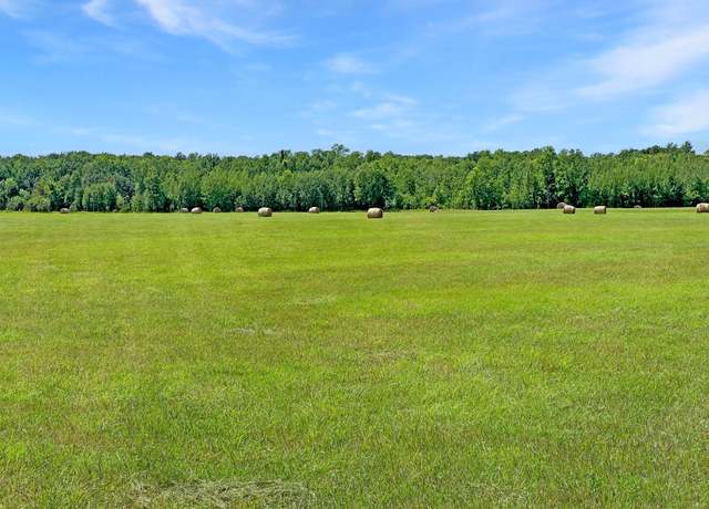 Property at TBD 199th Ave, Clearbrook, MN 56634