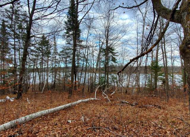 Property at Parcel B Ticonderoga Trl, Hackensack, MN 56452