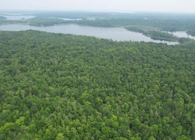 Property at Parcel B Ticonderoga Trl, Hackensack, MN 56452