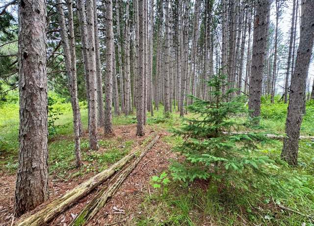 Property at TBD 20th St. SW 20 St SW, Bull Moose Twp, MN 56474