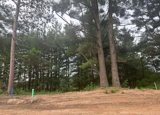 Property at Lot 2 Blk 2 Brummer Dr, Randall, MN 56475