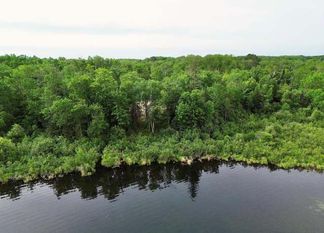 Property at 7787 Agency Narrows Dr NW, Walker, MN 56484