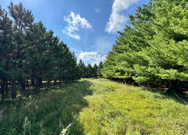 Property at 49928 County Highway 54, New York Mills, MN 56567