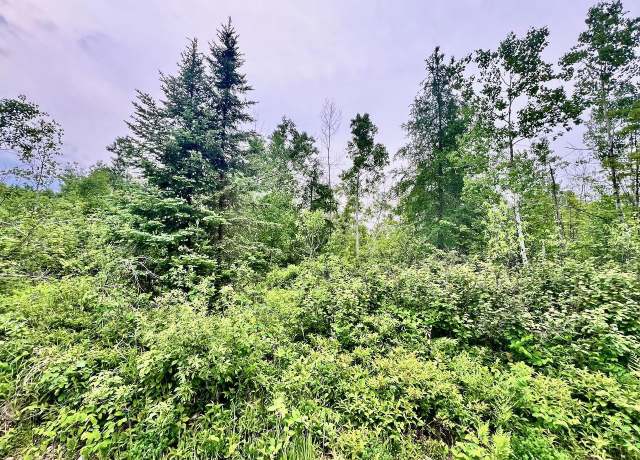 Property at TBD Shuster Rd, Portage Twp, MN 55771