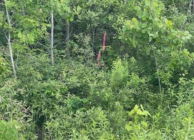 Property at TBD Parcel I Fox Rd, Hinckley, MN 55037