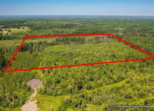 Property at TBD Township Rd 5743, New Independence Twp, MN 55702