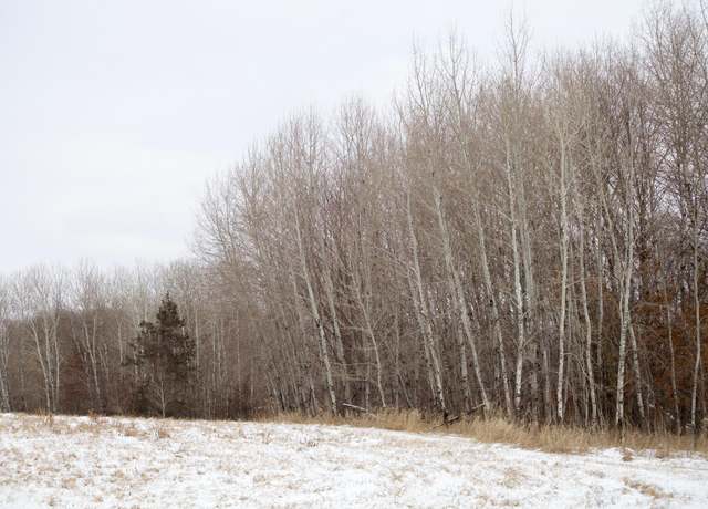 Property at 16XXX 4th Ave E, South Haven, MN 55382