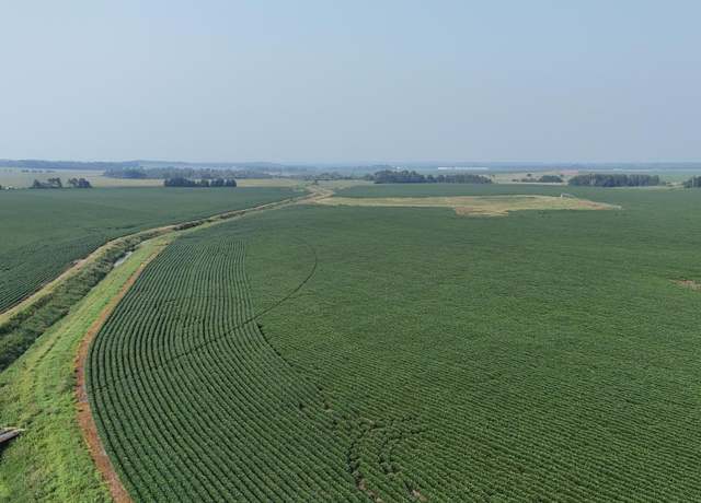 Property at TBD County 61, Browerville, MN 56438